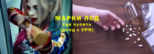 хмурый Белокуриха