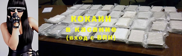 хмурый Белокуриха