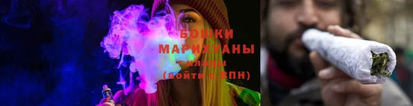 хмурый Белокуриха