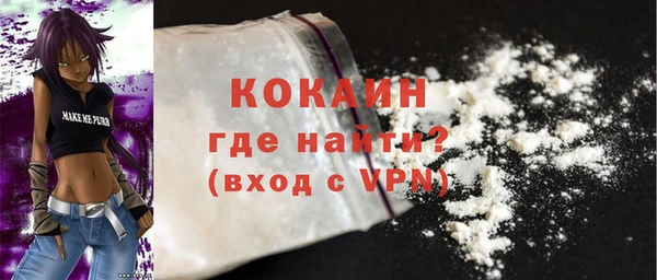 хмурый Белокуриха