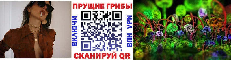 Купить  Кореновск  Псилоцибиновые грибы Magic Shrooms 